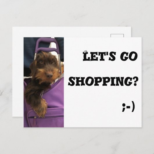 おもしろい犬レッツゴーショッピング ポストカード (正面/裏面)