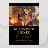 おもしろい犬写真の推測クリスマス 箔シーズンカード (正面)