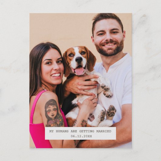 おもしろい犬写真の結婚式の日付の保存 案内ポストカード (正面)