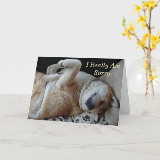 おもしろい犬写真カ表現ワイイ秋田 カード (黄色い花)