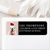 おもしろい犬写真クリスマスカード差出人住所 ラベル (インサイチュ)