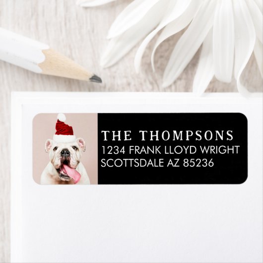 おもしろい犬写真クリスマスカード差出人住所 ラベル (インサイチュ)