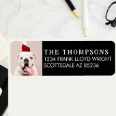 おもしろい犬写真クリスマスカード差出人住所 ラベル