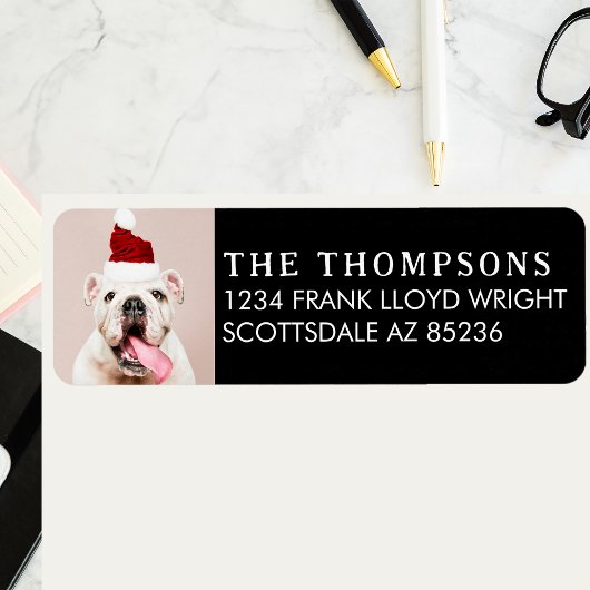 おもしろい犬写真クリスマスカード差出人住所 ラベル