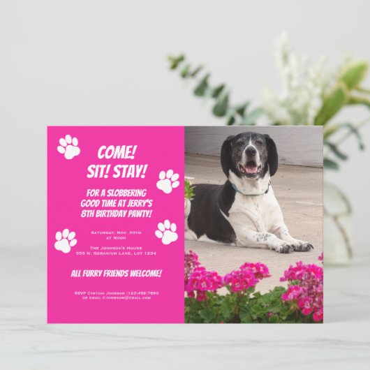 おもしろい犬写真テンプレート誕生日パーティーの招待 招待状 (スタンド正面)