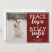 おもしろい犬写真パーソナライズされたレッドクリスマスフォト シーズンカード (正面)
