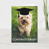 おもしろい犬写真卒業カード、カスタム犬の写真 カード (正面)