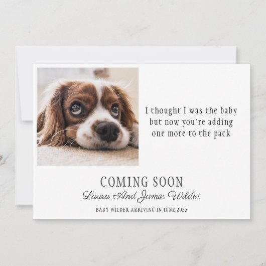 おもしろい犬写真妊娠の告知 案内状 (正面)