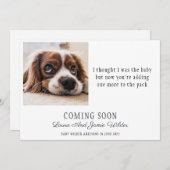 おもしろい犬写真妊娠の告知 案内状 (正面/裏面)