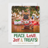 おもしろい犬写真 シーズンカード (正面)