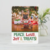 おもしろい犬写真 シーズンカード (スタンド正面)