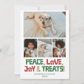 おもしろい犬写真 シーズンカード (正面)