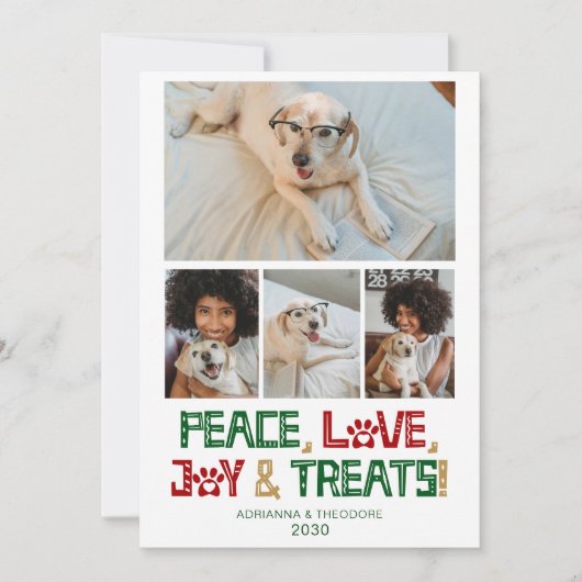 おもしろい犬写真 シーズンカード (正面)