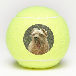 おもしろい犬写真 テニスボール