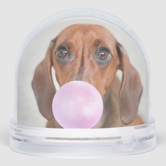 おもしろい犬写真、合計2枚 (裏面)