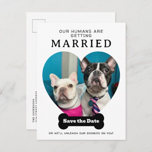 おもしろい犬写真Our Humans Getting Married 案内ポストカード (正面/裏面)