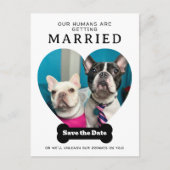 おもしろい犬写真Our Humans Getting Married 案内ポストカード (正面)