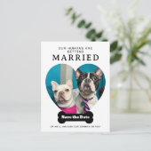おもしろい犬写真Our Humans Getting Married 案内ポストカード (スタンド正面)