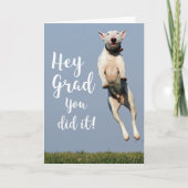 おもしろい犬卒業カードおめでとう卒業 カード (正面)