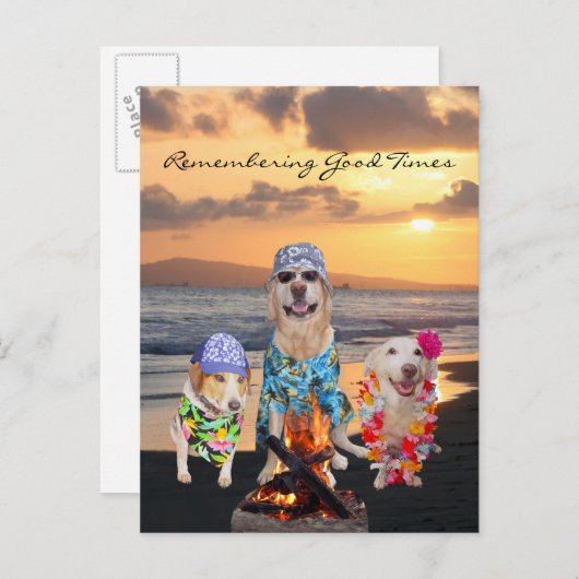 おもしろい犬卒業式パーティービーチはがき インビテーションポストカード (正面/裏面)