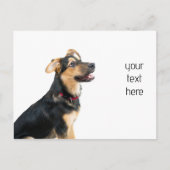 おもしろい犬子犬 ポストカード (正面)