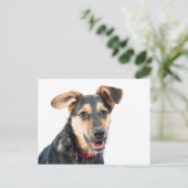 おもしろい犬子犬 ポストカード (スタンド正面)