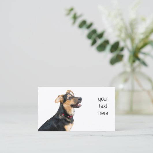 おもしろい犬子犬 名刺 (スタンド正面)