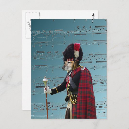 おもしろい犬専攻の管 ポストカード (正面/裏面)