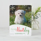 おもしろい犬恋人フラスNaviDOGクリスマスフォト シーズンカード (スタンド正面)
