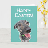 おもしろい犬愛好家イースターカード カード (黄色い花)