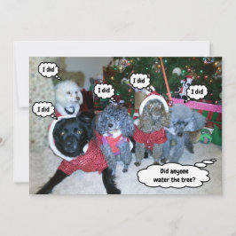 おもしろい犬救済ス・ウォーター・ザ・クリスマスツリー シーズンカード