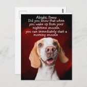 おもしろい犬考え ポストカード (正面/裏面)