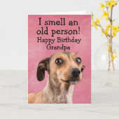 おもしろい犬誕生日カード カード (黄色い花)