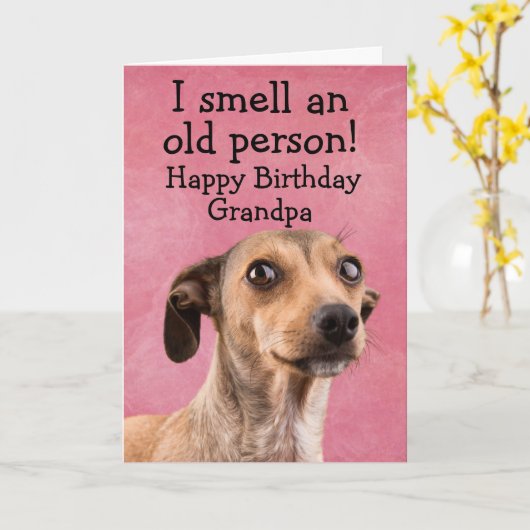 おもしろい犬誕生日カード カード (黄色い花)