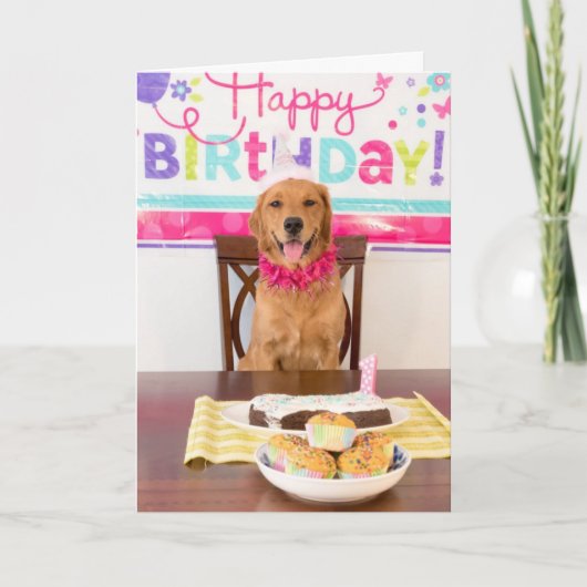 おもしろい犬誕生日カード カード (正面)