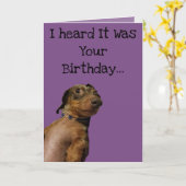 おもしろい犬誕生日カード カード (黄色い花)