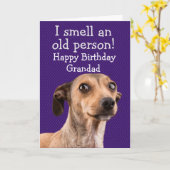 おもしろい犬誕生日カード カード (黄色い花)