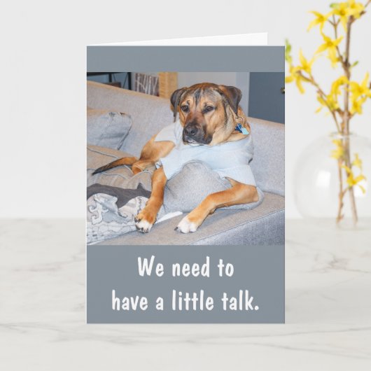 おもしろい犬誕生日カード カード (黄色い花)