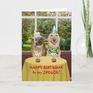 おもしろい犬誕生日カード カード