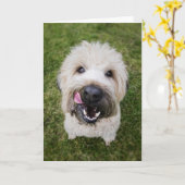 おもしろい犬誕生日カード カード (黄色い花)