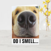 おもしろい犬誕生日臭いお誕生日ケーキ?カード カード (黄色い花)