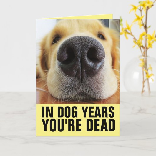 おもしろい犬誕生日、犬の年のあなたは死んだカード カード (黄色い花)