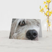 おもしろい犬顔アップクローズ誕生日カード カード (黄色い花)