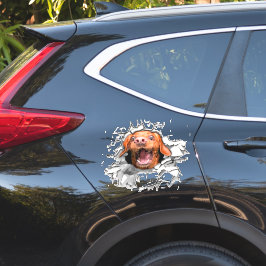 おもしろい犬顔シール シール