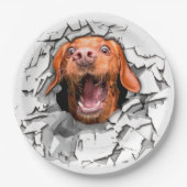 おもしろい犬顔 ペーパープレート (正面)