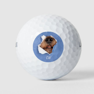 おもしろい犬鼻ペットユーモアモノグラムアート ゴルフボール