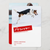 おもしろい犬2写真テンプレートクリスマスカード シーズンカード (正面/裏面)