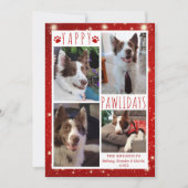 おもしろい犬4フォトコラージュYAPPY PAWLIDAYS赤 シーズンカード (正面)