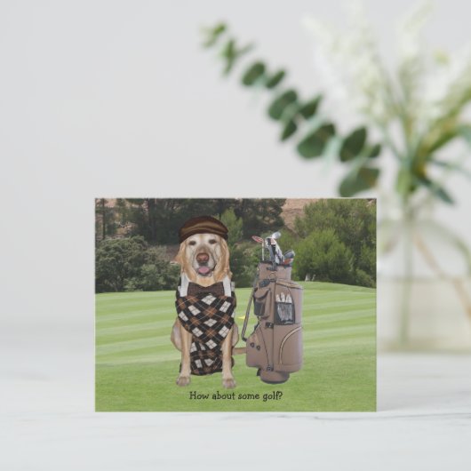 おもしろい犬/ゴルフ場の実験室 ポストカード (スタンド正面)
