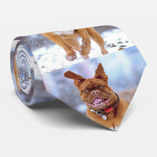 おもしろい犬 ネクタイ